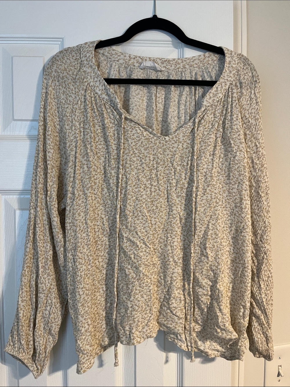 Carly Jean Light Cream Floral Peasant Top with Tie Neck